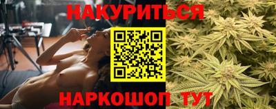 прущие крисы Камышлов
