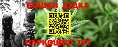 прущие крисы Камышлов