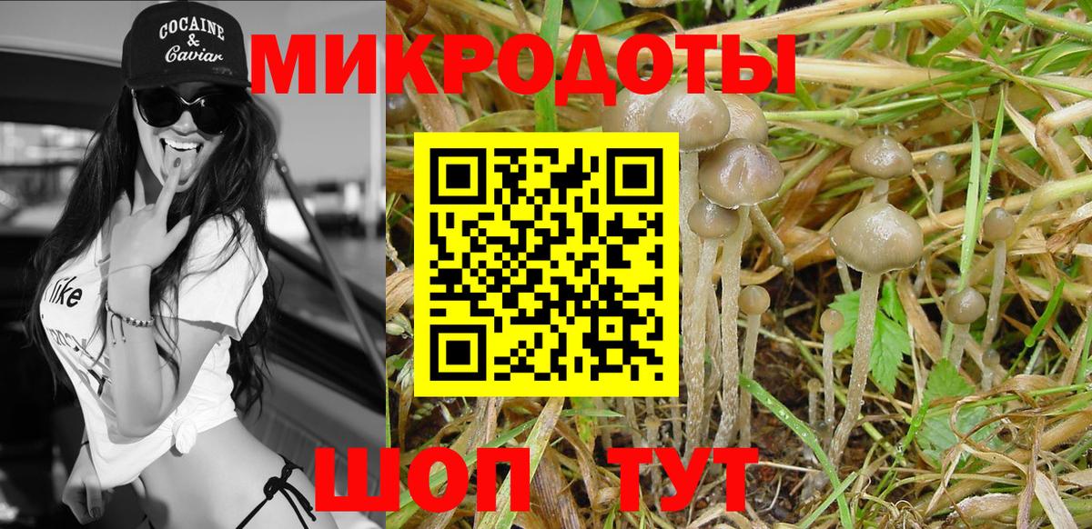 Галлюциногенные грибы MAGIC MUSHROOMS  Вход с VPN  Лангепас 
